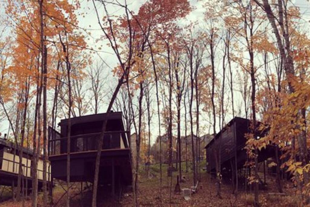 Willa Cabin Sutton 252 - En Harmonie Avec La Nature! Zewnętrze zdjęcie